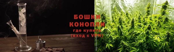 молекула духа Майский