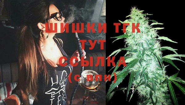 стаф Кулебаки