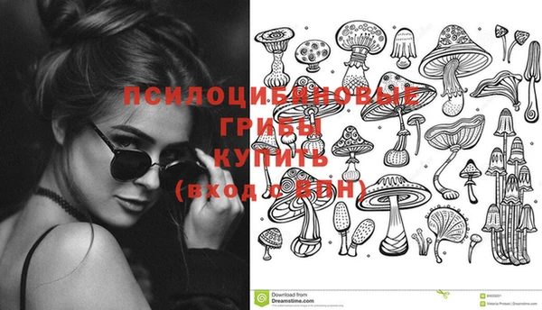 стафф Магас