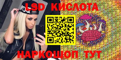 амф Заволжье