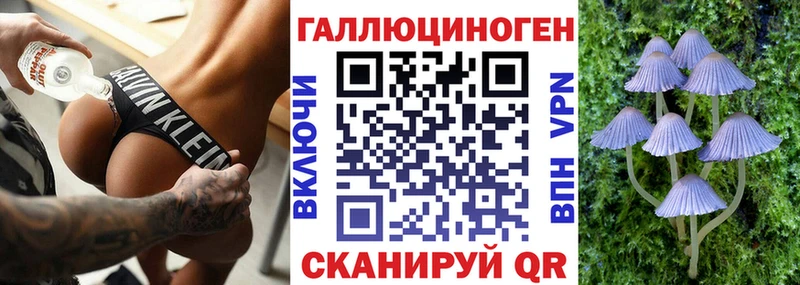 Псилоцибиновые грибы прущие грибы  ссылка на мегу tor  Лениногорск 