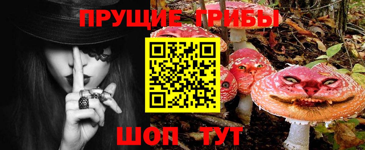 Лениногорск  Псилоцибиновые грибы GOLDEN TEACHER  Вход с VPN  Галлюциногенные грибы мухоморы 
