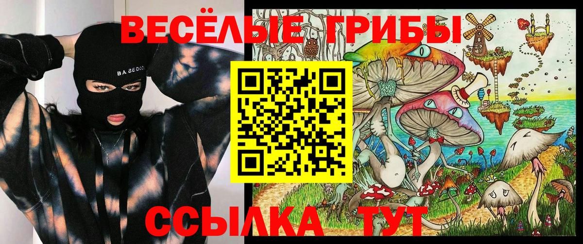 Галлюциногенные грибы ЛСД Лениногорск